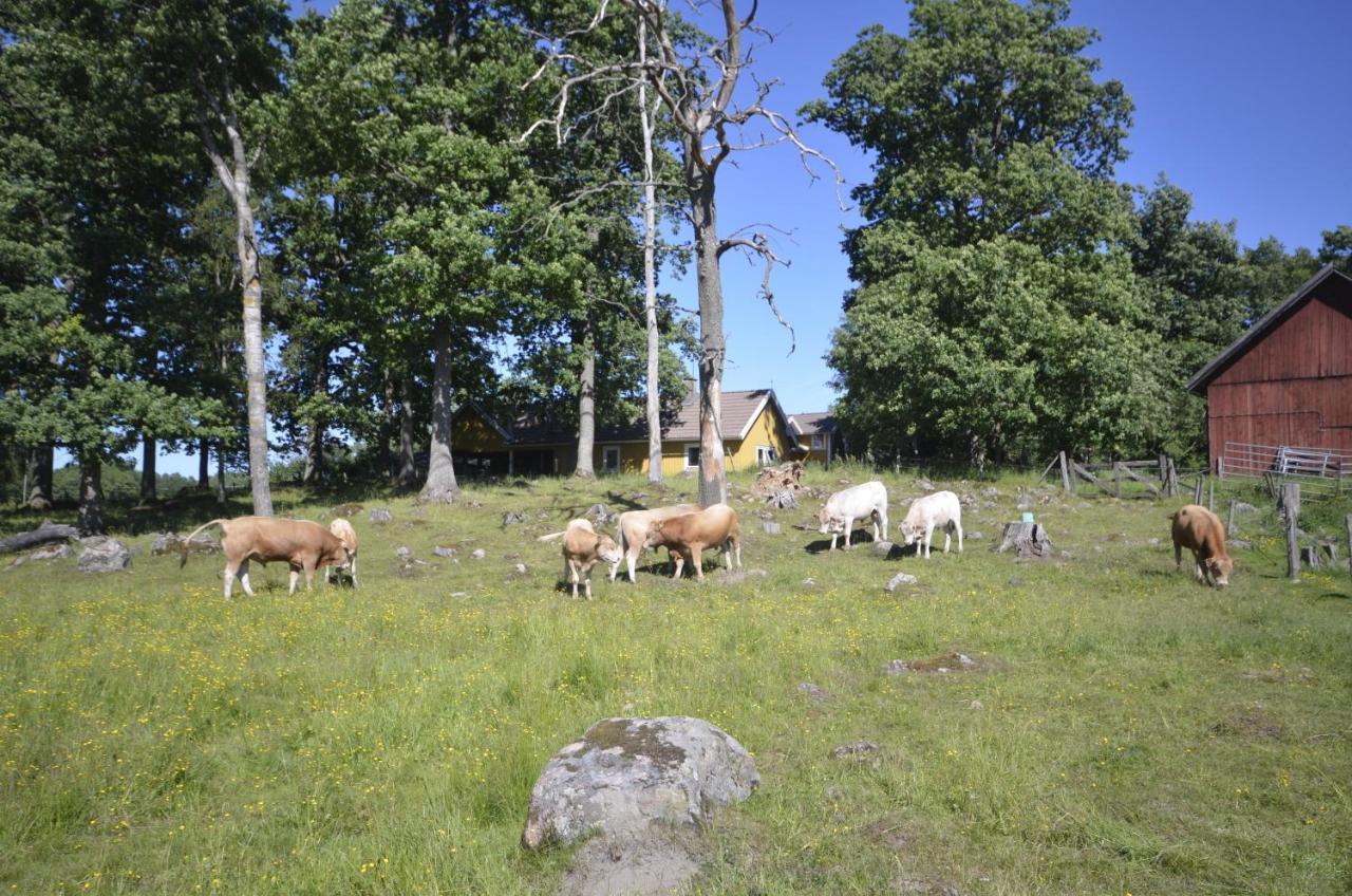 Gaeststugan Skara Eksteriør bilde